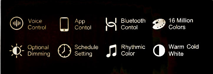 Tuya Smart LED Bluetooth Light